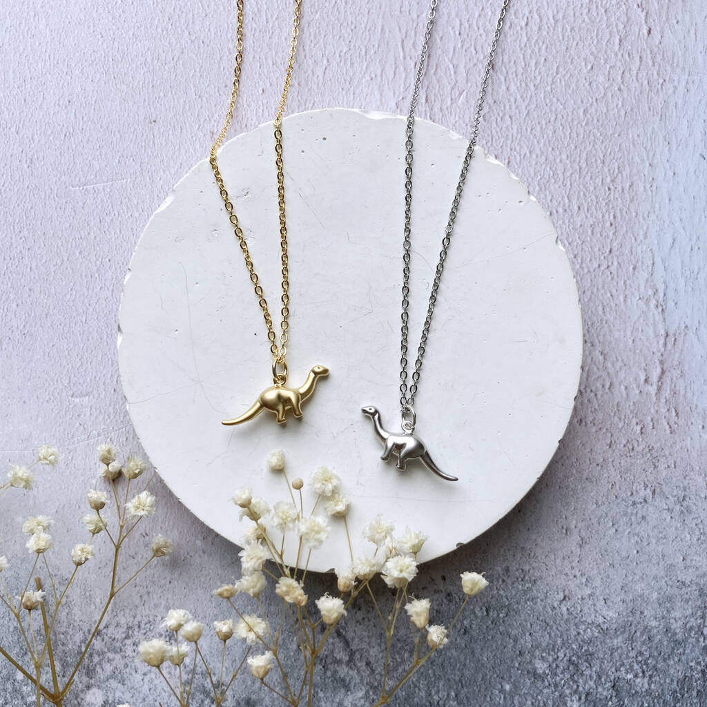 You're Roarsome Dinosaur Necklace Gift