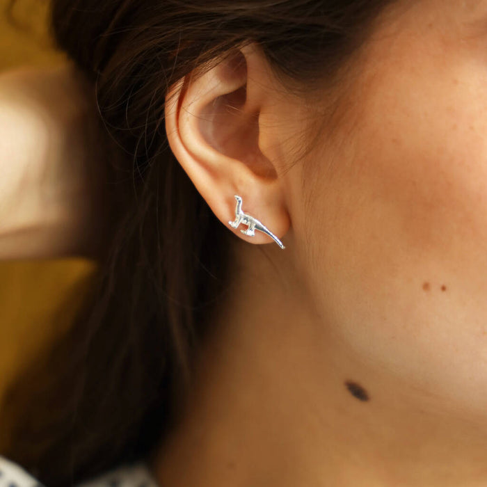 You're Roarsome Dinosaur Stud Earrings Gift