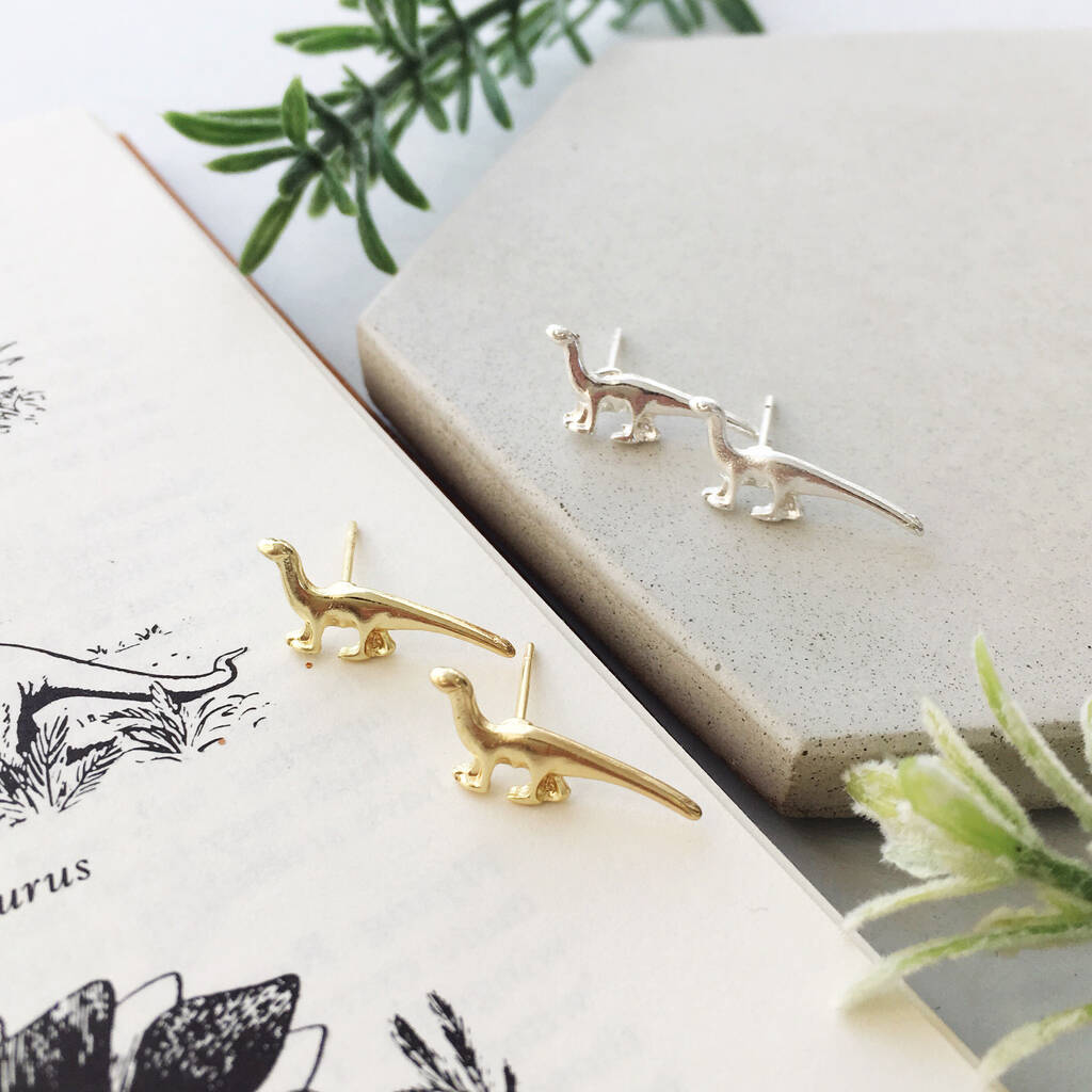 You're Roarsome Dinosaur Stud Earrings Gift