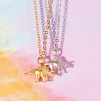 You're Roarsome Dinosaur Necklace Gift