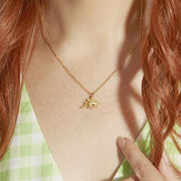 You're Roarsome Dinosaur Necklace Gift