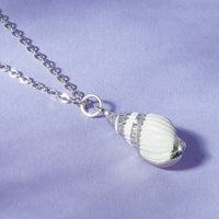Natural Seashell Gold or Silver Plated Necklace